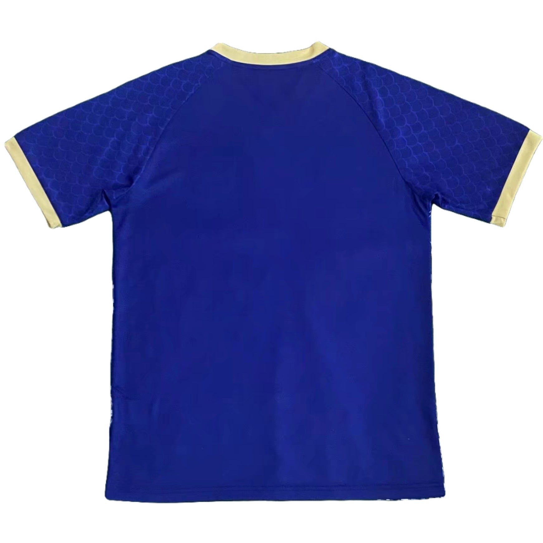 Japan Blue Dragon - Concept Kit