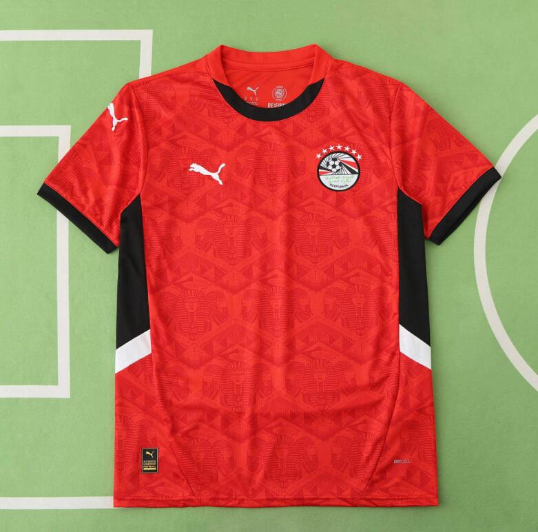 Egypt 2026 World Cup - Home (Fan)