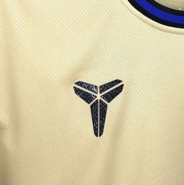 Barcelona 25/26 - Away Kit (Fan)