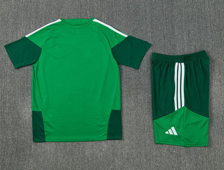 Algeria 2026 World Cup - Tracksuit (Short Sleeves)