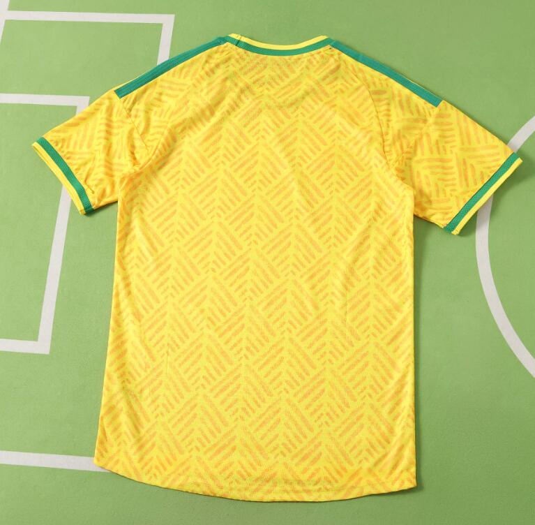 South Africa 2026 World Cup - Home (Player)