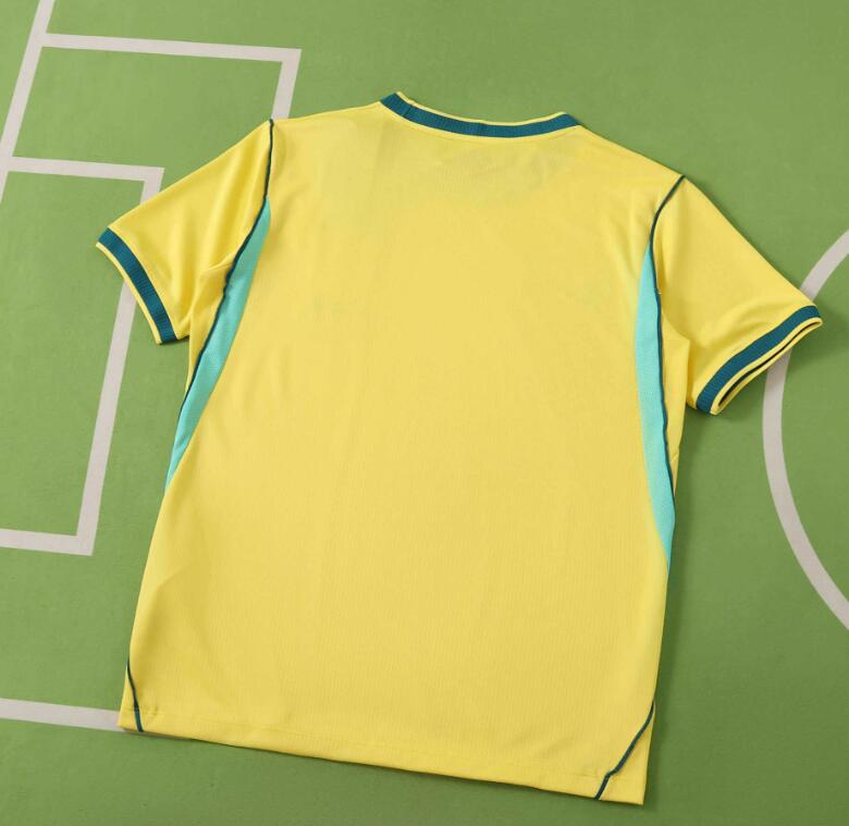 Brazil 2026 World Cup - Home (Fan)