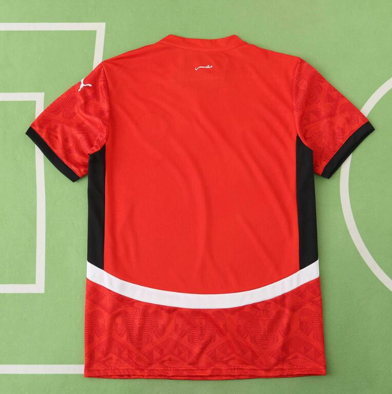 Egypt 2026 World Cup - Home (Fan)