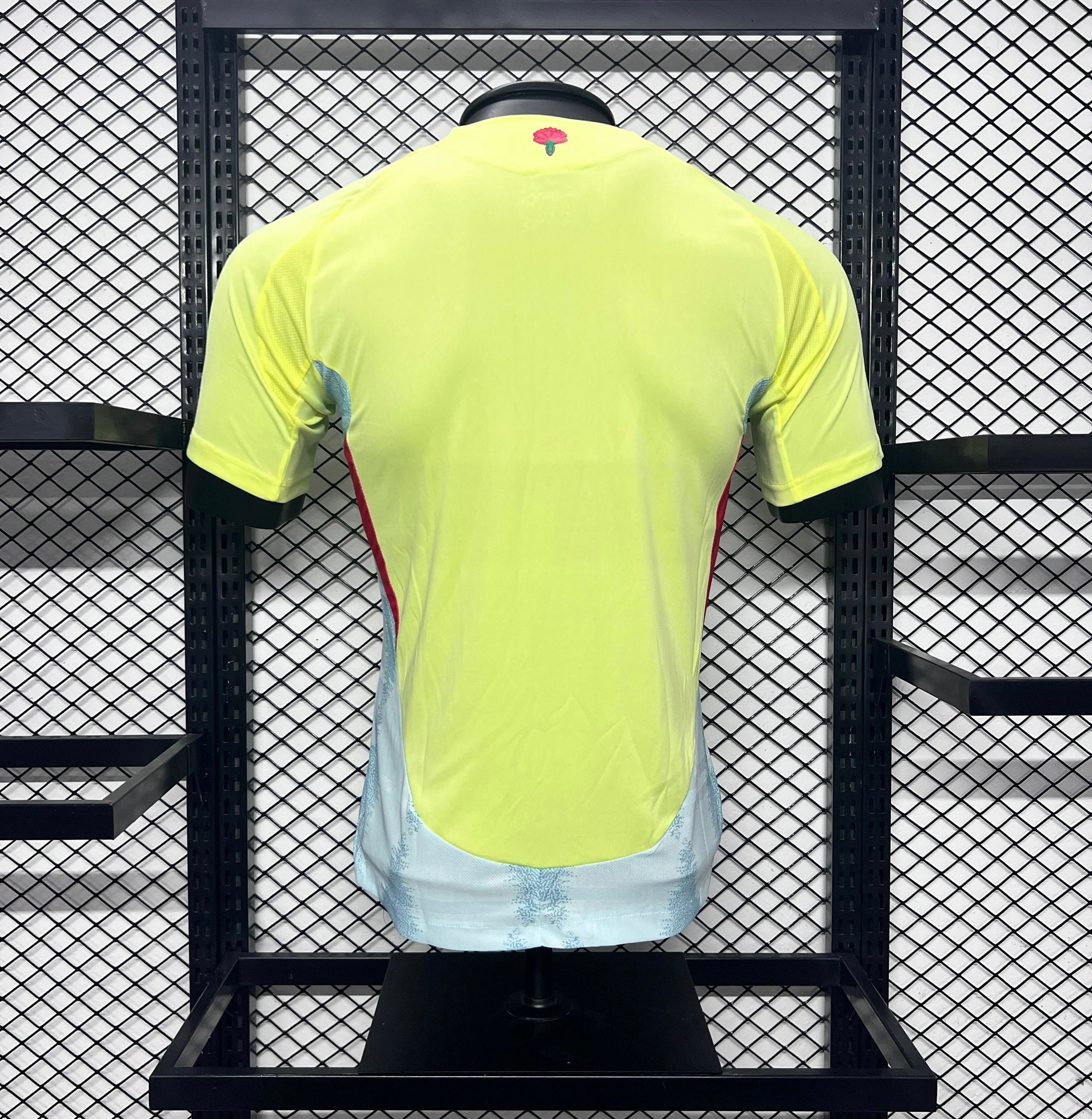2024 Spain Player's Edition - Away Kit