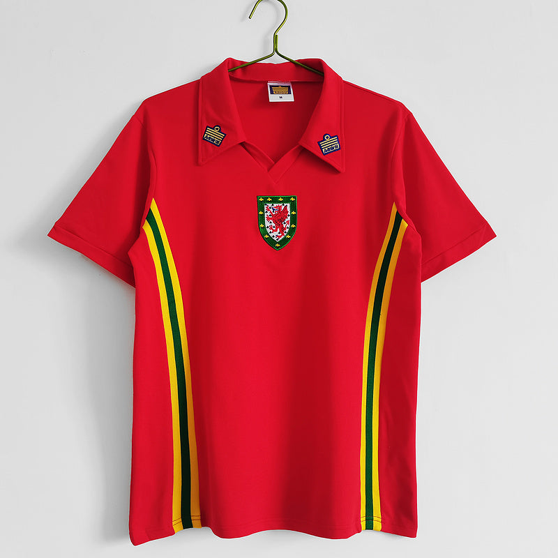Wales 1976-79 Retro - Home