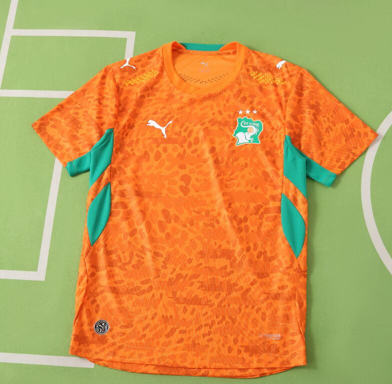 Ivory Coast 2026 World Cup - Home (Player)