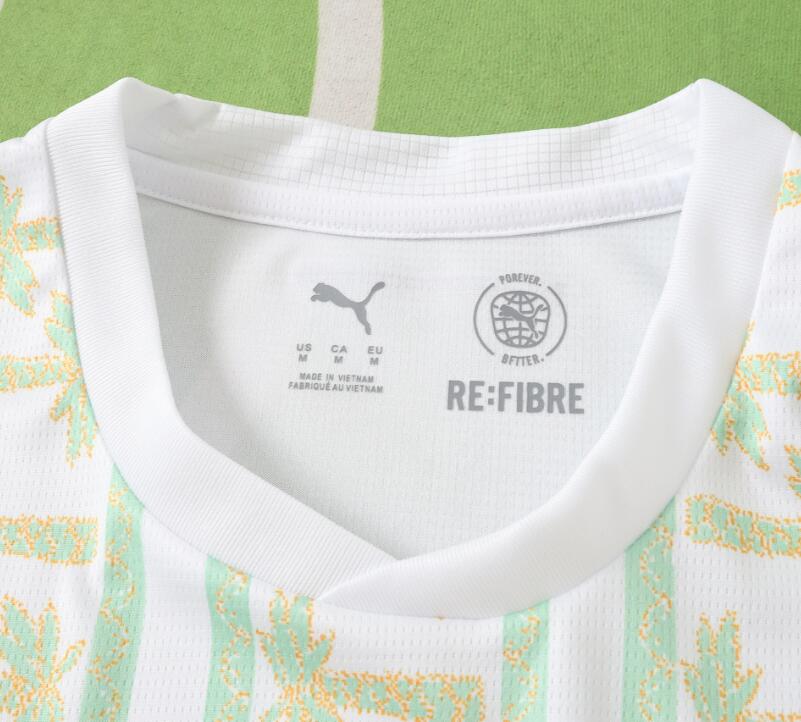 Ivory Coast 2026 World Cup - Away (Fan)