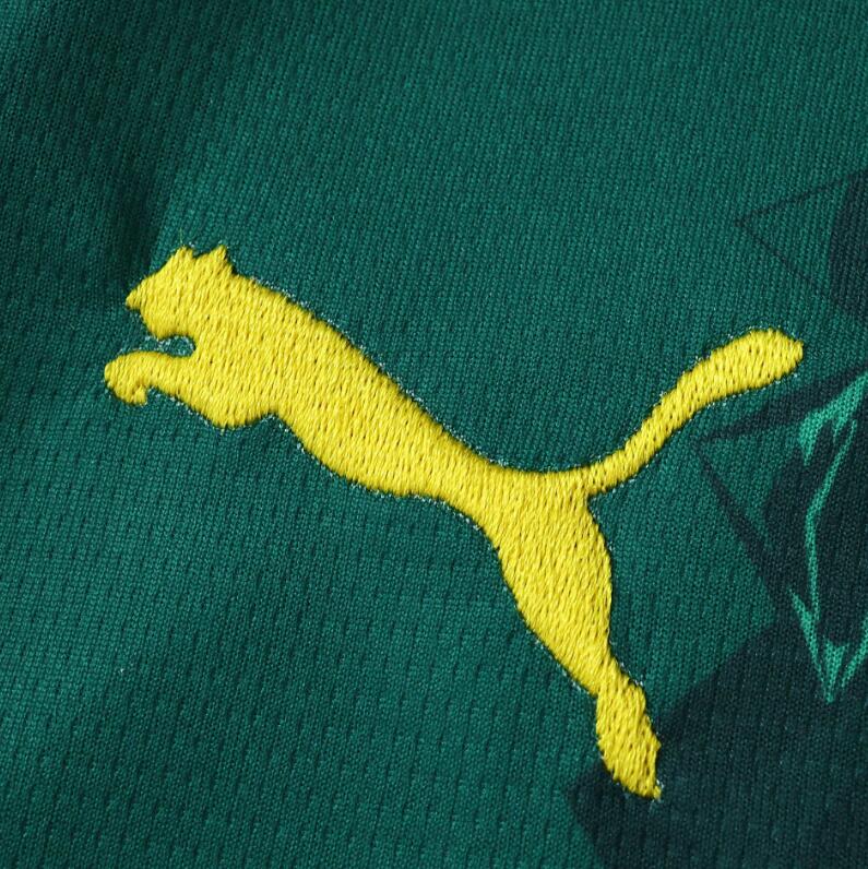 Senegal 2026 World Cup - Away (Fan)