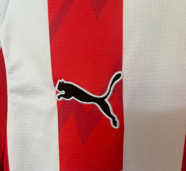PSV Eindhoven 25/26 - Home Kit (Fan)