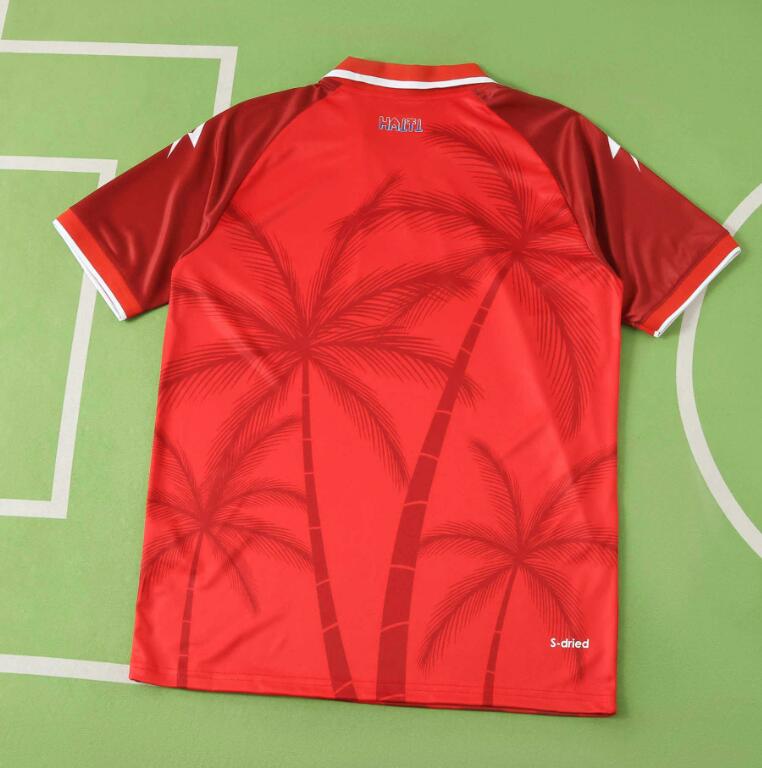 Haiti 2026 World Cup - Third (Fan)