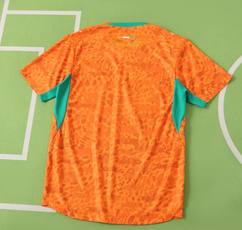 Ivory Coast 2026 World Cup - Home (Player)