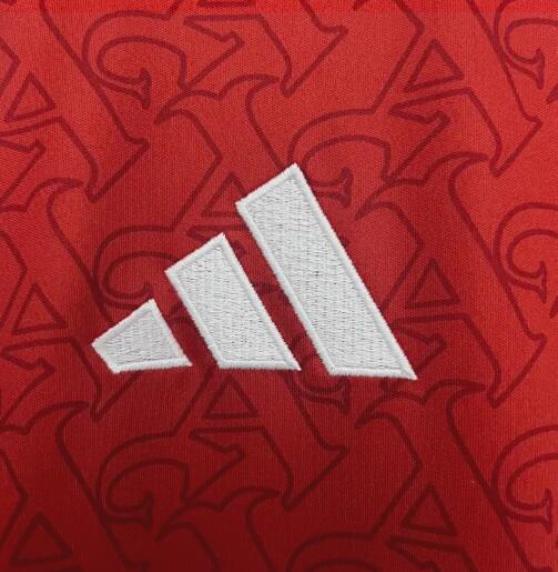 Arsenal 25/26 - Home Kit (Fan)