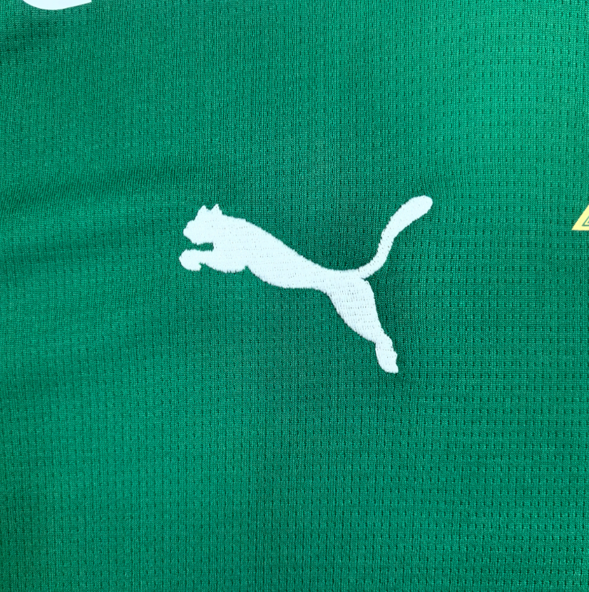 Palmeiras 26/27 - Home Kit (Fan) Green