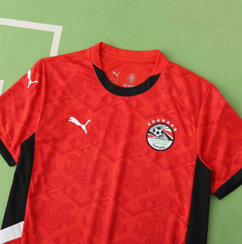 Egypt 2026 World Cup - Home (Fan)