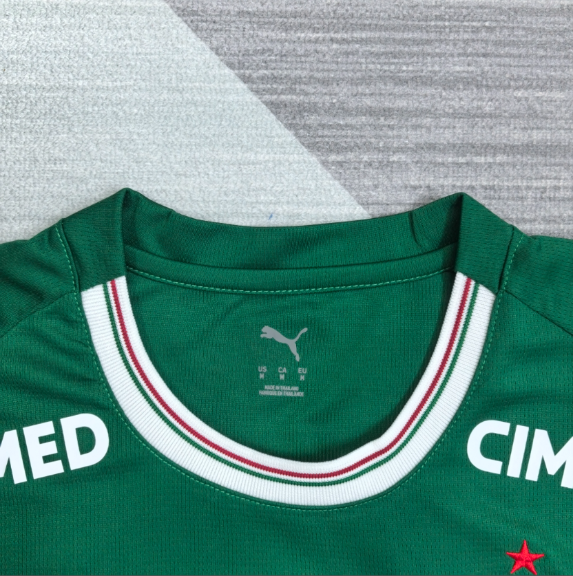 Palmeiras 26/27 - Home Kit (Fan) Green