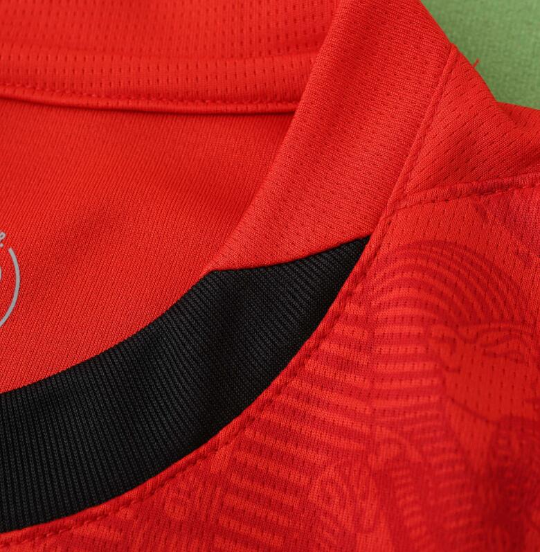 Egypt 2026 World Cup - Home (Fan)