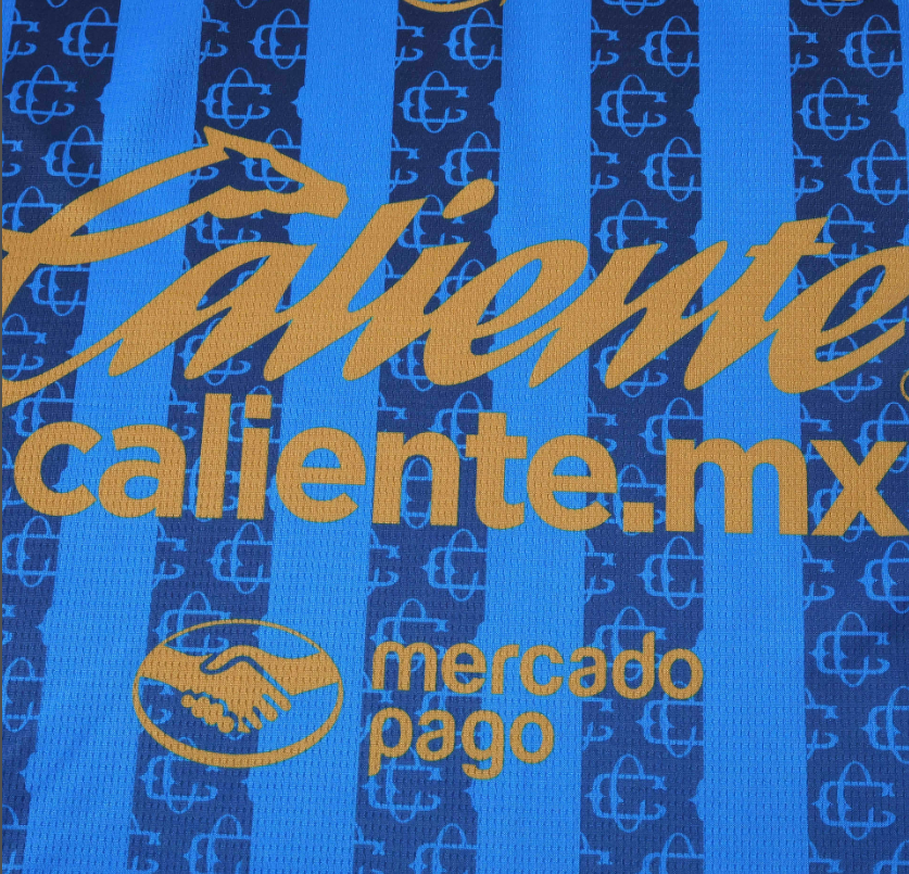 Chivas Guadalajara 26/27 - Third Kit (Fan)