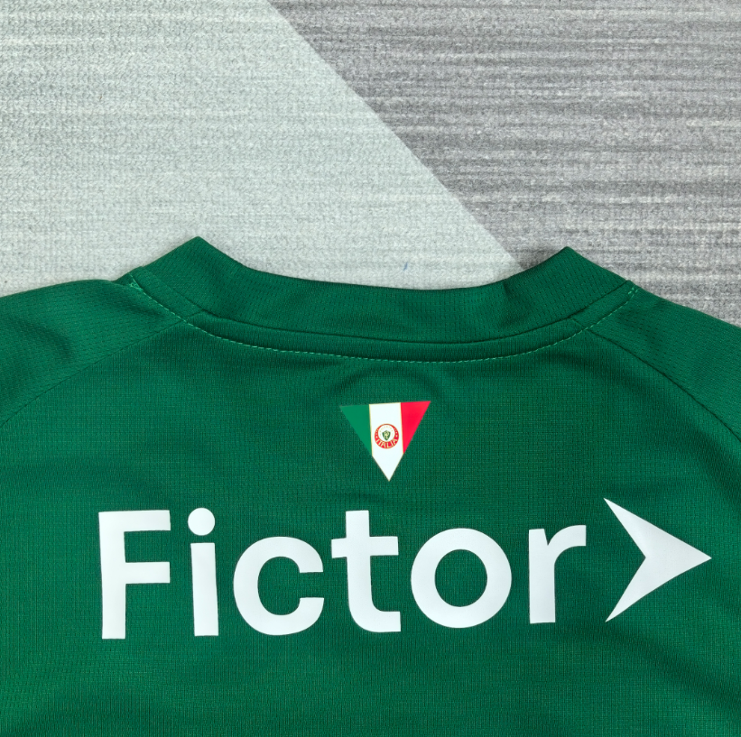 Palmeiras 26/27 - Home Kit (Fan) Green