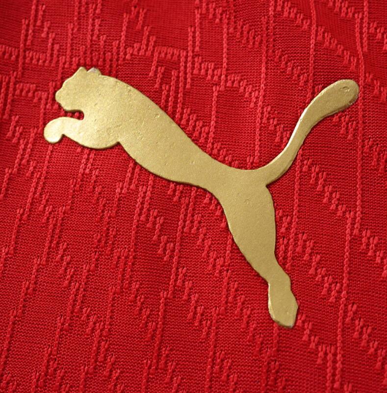 Morocco 2026 World Cup - Home (Player)