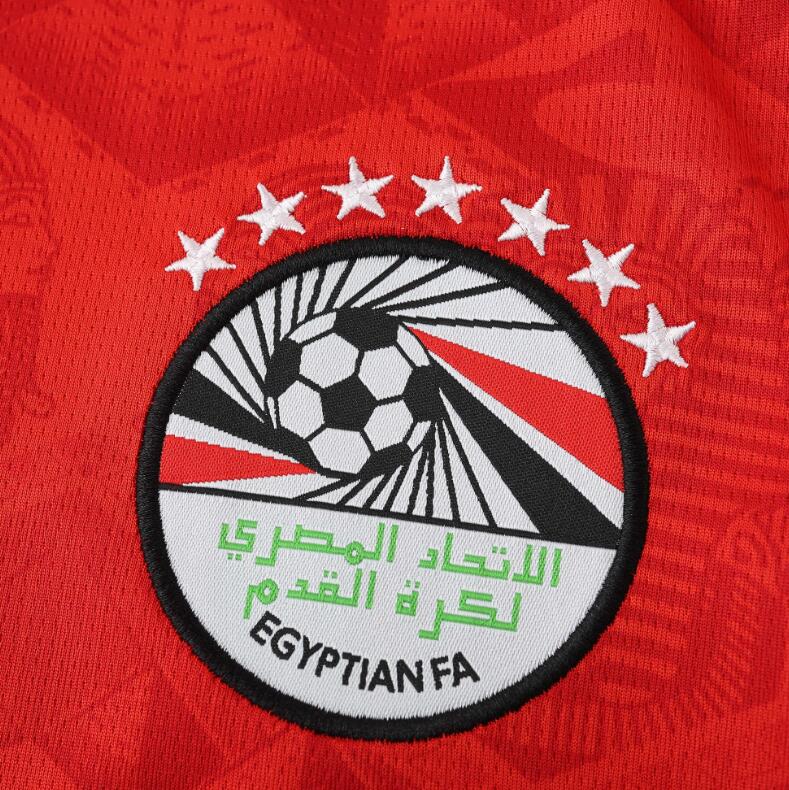 Egypt 2026 World Cup - Home (Fan)