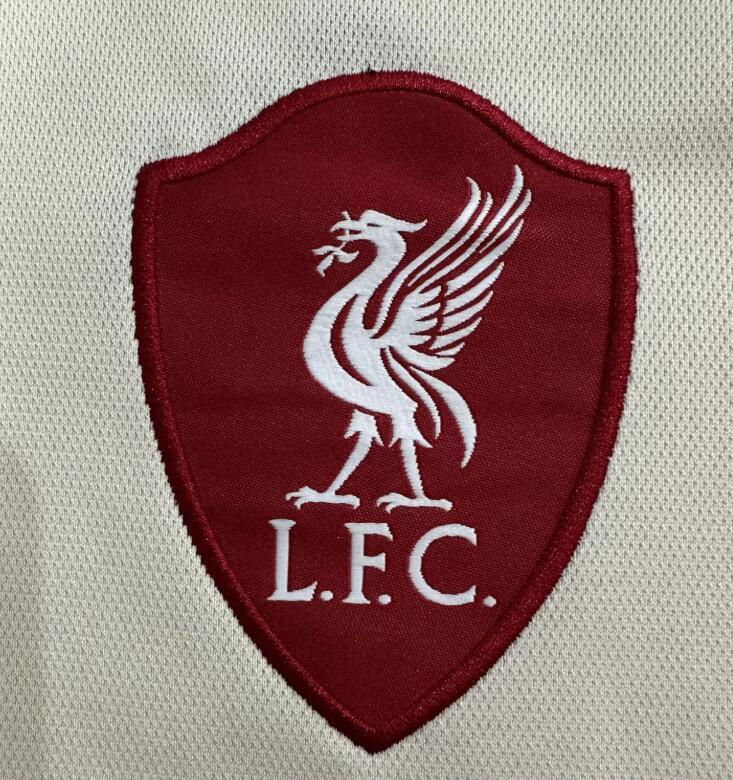 Liverpool 25/26 - Away Kit (Fan)
