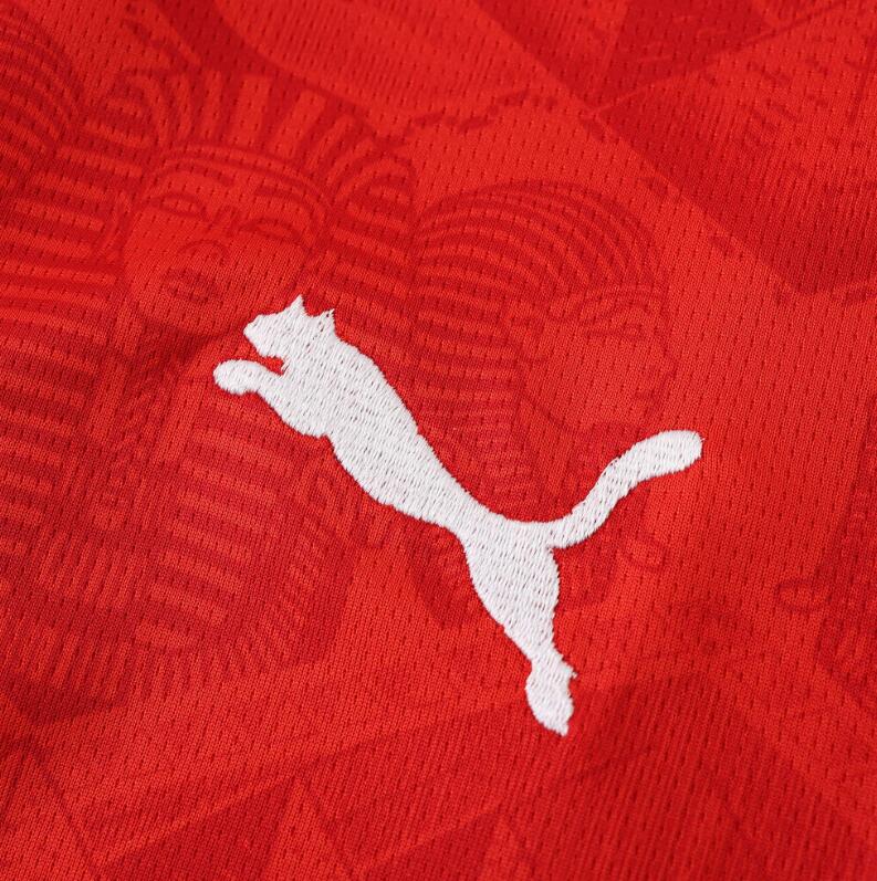 Egypt 2026 World Cup - Home (Fan)