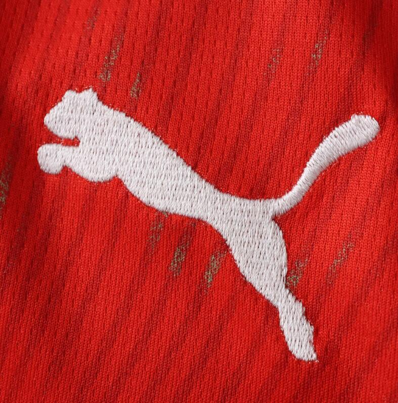 Switzerland 2026 World Cup - Home (Fan)