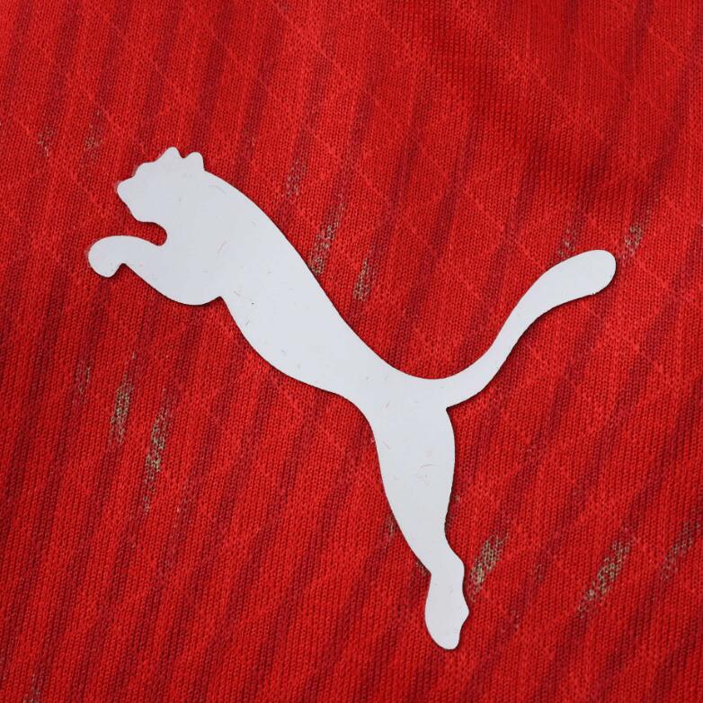 Switzerland 2026 World Cup - Home (Player)