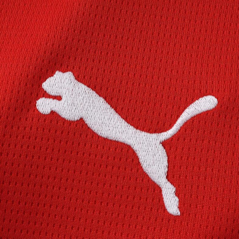 Austria 2026 World Cup - Home (Fan)