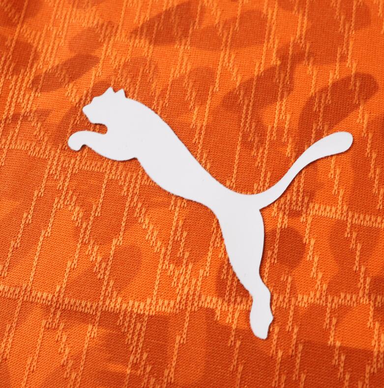 Ivory Coast 2026 World Cup - Home (Player)