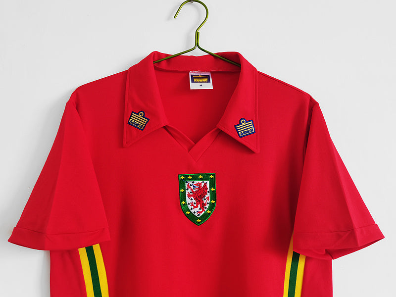 Wales 1976-79 Retro - Home